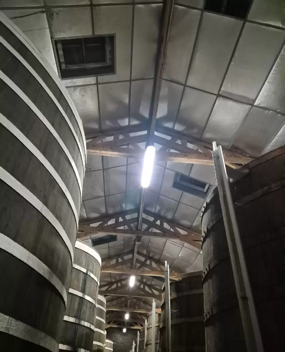 Dépose et remplacement de tôles usagés pour un apport de lumière - Al Dépose et remplacement de tôles usagés pour un apport de lumière - Al